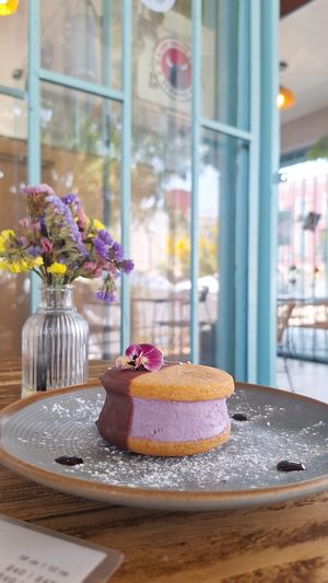  at Café Zapopan in Zapopan