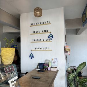   at Café Zapopan in Zapopan