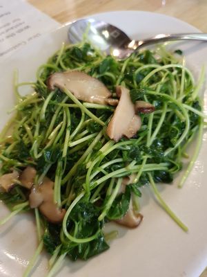 Pea shoot with mushroom at Loving Hut in Central Singapore
