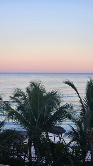  at Kanan Tulum Rooftop in Tulum