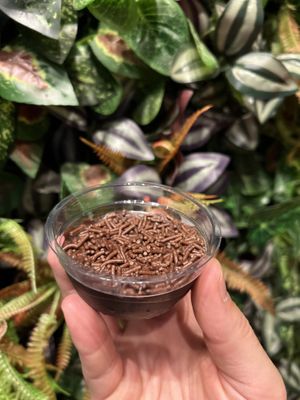   at Haya Falafel Café - Pinheiros in Sao Paulo