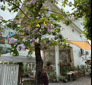 Garden Setting at Bloomin' Moon Hostel in Chiang Mai
