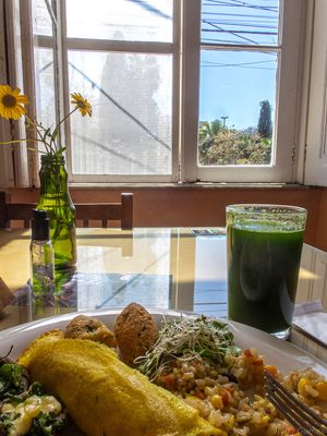 23/09/2022 at Teia Ecologica in Pelotas