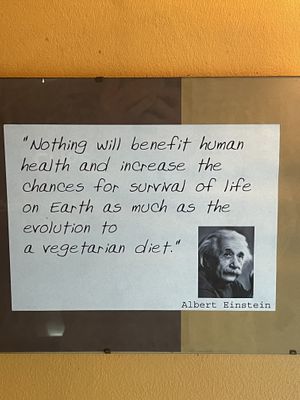 Goat  at Peace Harmony in Sydney