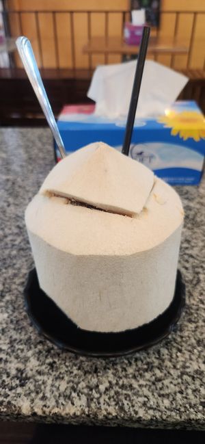  at Peace Harmony in Sydney