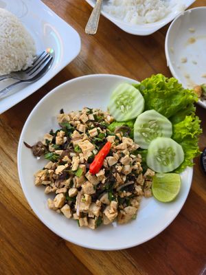 Tofu larb at Mini Local Restaurant in Nong Khiaw