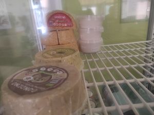 Gondino cheese at Capre e Cavoli in Brescia