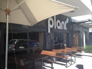 Outside Seating at Plant in Cape Town