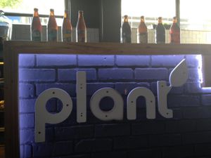 At Night at Plant in Cape Town