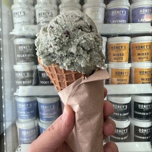 1 Scoop of Mint Chocolate Chip in a Waffle Cone  at Honey's - Queen St E in Toronto