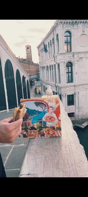 Gull want Callisto at Pizzeria L'Angelo in Venice