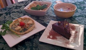 4 dishes: Mushroom lasagne, bread and butter pudding, quiche, choc-hazelnut cheesecake. at Studio Voodoo in Morphett Vale