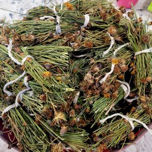 Navajo tea 
We wild harvest this beautiful traditional tea.  at Ch'il Indigenous Foods - Pre-order in Wheat Ridge