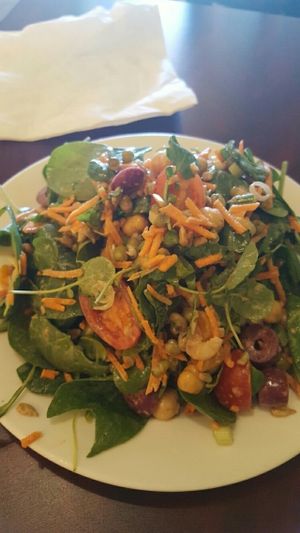 vitamin packed salad at Green Leaf in Framingham