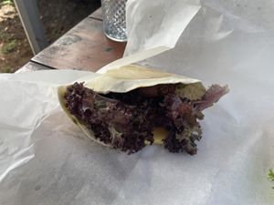   at Jammwich  in Wilderness
