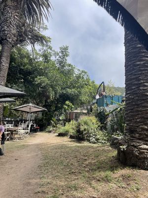   at Jammwich  in Wilderness