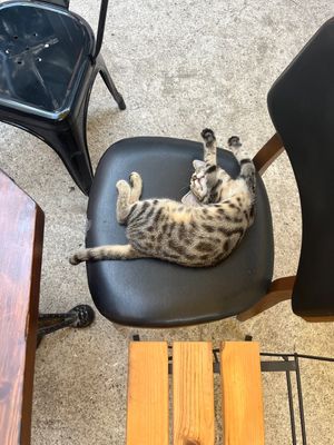   at Ayrışım Kitabevi Kafe in Istanbul