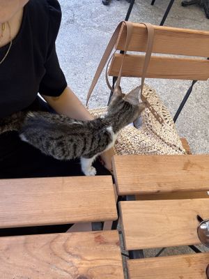   at Ayrışım Kitabevi Kafe in Istanbul