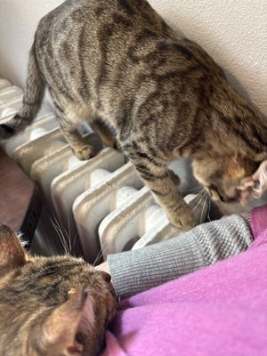   at Ayrışım Kitabevi Kafe in Istanbul