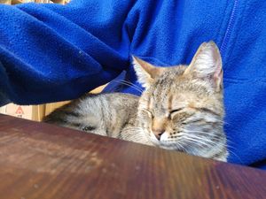  at Ayrışım Kitabevi Kafe in Istanbul