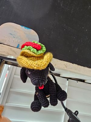 Logan😄#Veganuary at No Suaperro in Mexico City