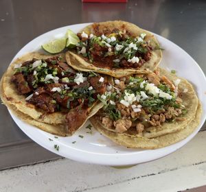   at No Suaperro in Mexico City