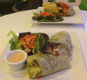 chickens friend wrap and a spicy cactus wrap  at Choices Cafe in Miami