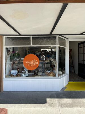  at Alchemy & Storm in Hokitika