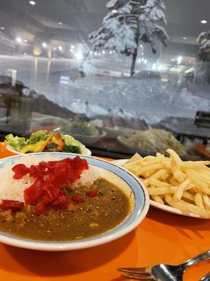 Vegan curry (kids portion) with fries and salad both vegan   at Restaurant Hull in Hakuba