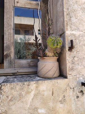  at Hommosani - الحمصاني  in Amman