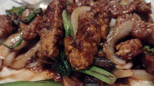 Mongolian seitan with onion, green onion and mushrooms at Chef Bo's Green Garden Restaurant in Lake Zurich
