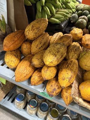 Cacao  at 'Oko'a Farms in Makawao