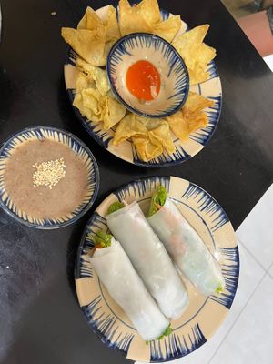 Fried wantan and summer rolls at Mộc Lam An Vegan in Hoi An