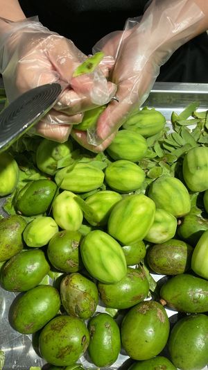 Young ambarella at Freezedom Da Nang in Da Nang