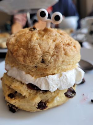  at All Good Things Vegan in Paignton