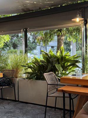   at Fysarmónika Mezedopoteíon in Athens