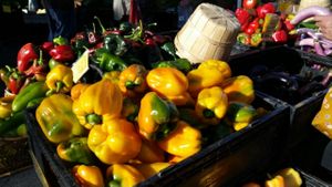 11/18/15 at Downtown Farmers' Market in Santa Cruz