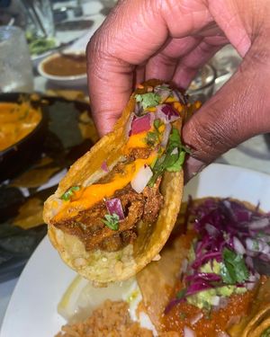 Taco  at Gracias Madre - WeHo in West Hollywood