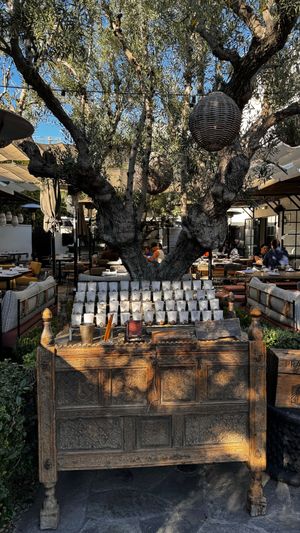 Entrance to Patio  at Gracias Madre - WeHo in West Hollywood