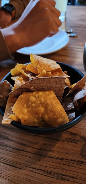  at Gracias Madre - WeHo in West Hollywood