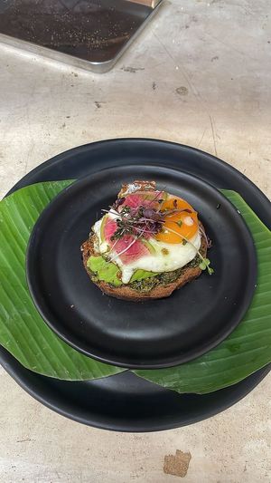 Avocado Toast con gremolata, decorado con rábano sandía y brotes. El huevo es adicional
Vegetarian/Vegan option at Pook in Playa Del Carmen