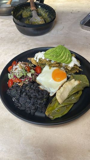 Desayuno Nohoch, consta de Dos Huevos estrellados, Dos antojitos o porción de chilaquiles, nopal asado con queso panela o vegano asado, frijoles refritos y porción de ensalada
Vegetarian/Vegan options at Pook in Playa Del Carmen