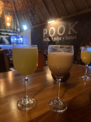Elixir de Maracuya y guanábana  at Pook in Playa Del Carmen