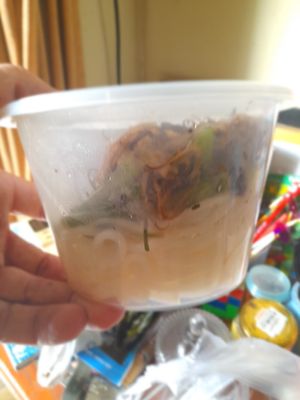 My take away packaging at Tâm Hạnh in Ho Chi Minh City