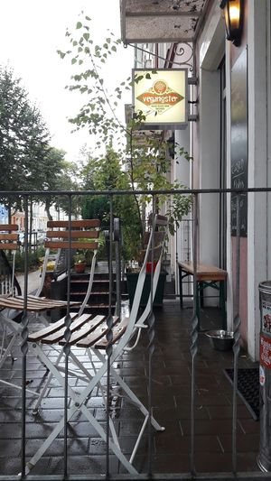 Vegangster at Vegangster in Rostock