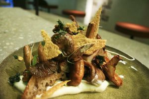 Fresh forest mushrooms at Aub-svp in Brussels