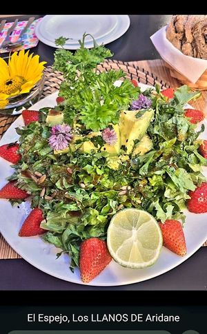  at El Espejo in La Palma