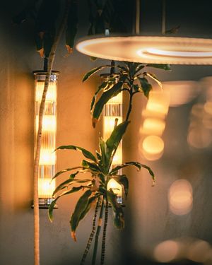  at Bluesquare in Milan