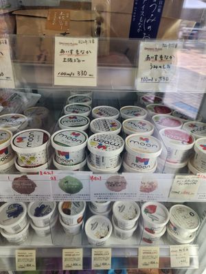 Vegan Ice-cream at Organic Plaza - Aeon Mall Kitaoji Store in Kyoto