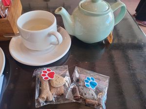 Doggie treats (one of many 😅) at The White Hare Cafe in Kirkby Stephen